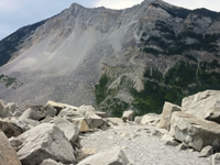 Image of Turtle Mountain and Frank Slide.